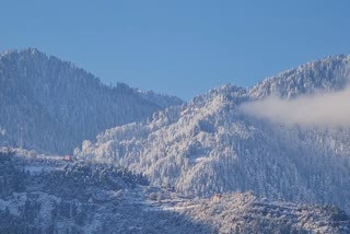 Mesmerising pictures of snowfall in kashmir