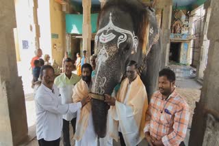 Active Elephant Award to Mangalam  Elephant