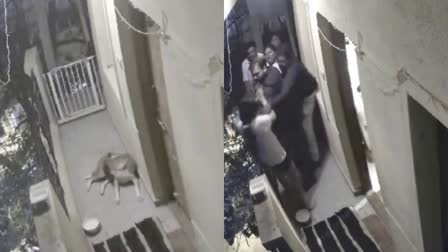 fight-between-house-owner-and-tenant-for-dog upbringing