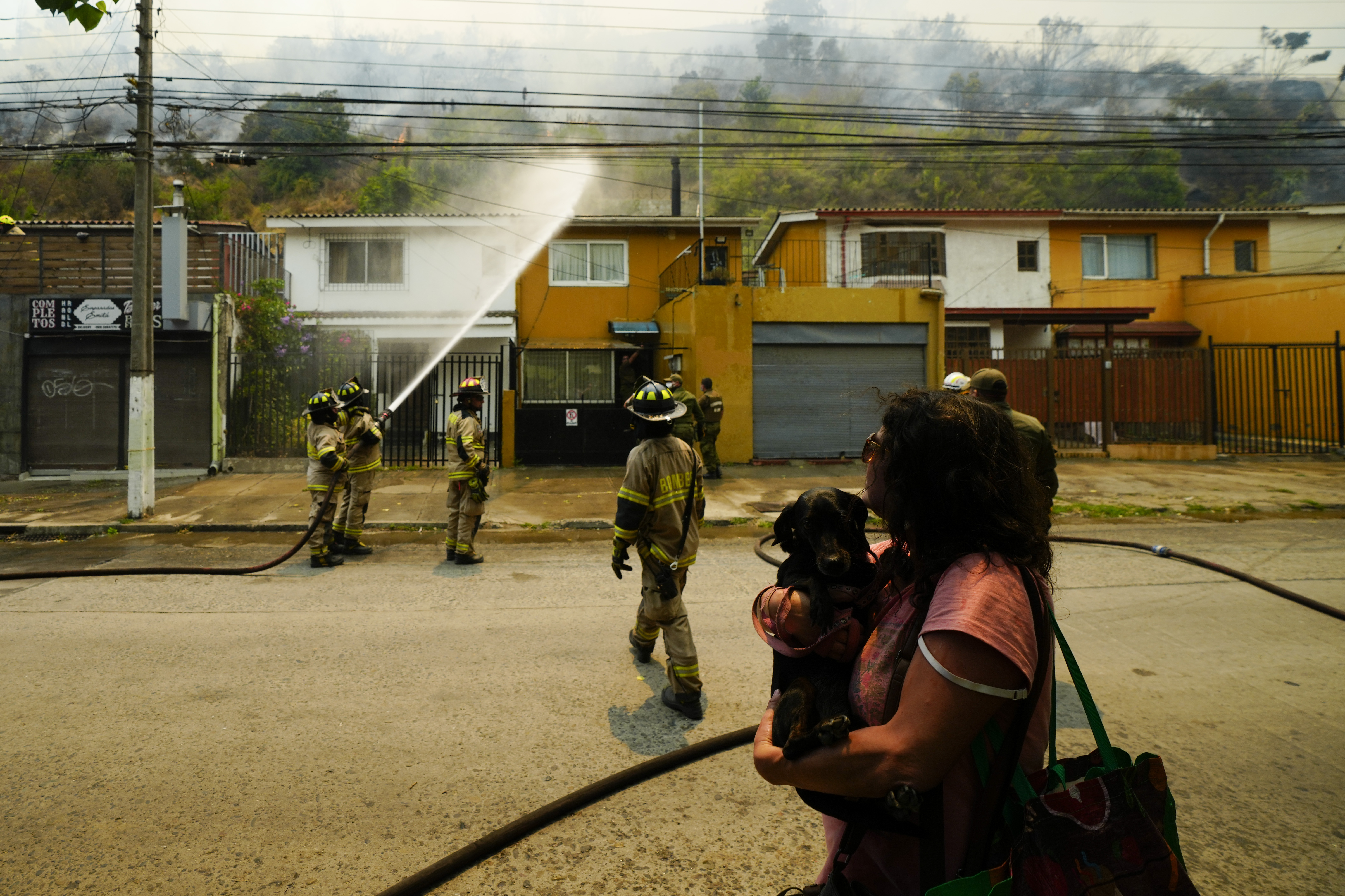 Chile Wildfire  ಚಿಲಿಯಲ್ಲಿ ಕಾಡ್ಗಿಚ್ಚು  Chile  ಚಿಲಿ