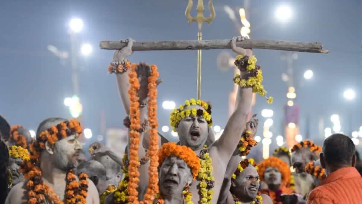 KUMBH ELDERLY