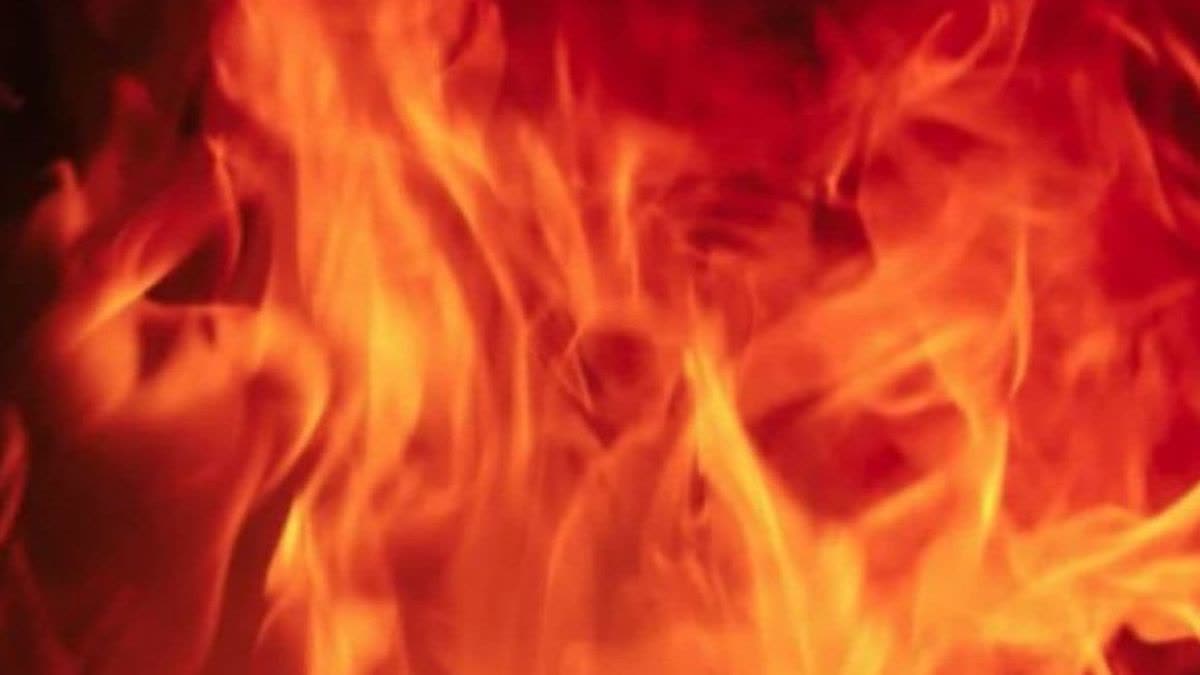 Elderly man dies in fire