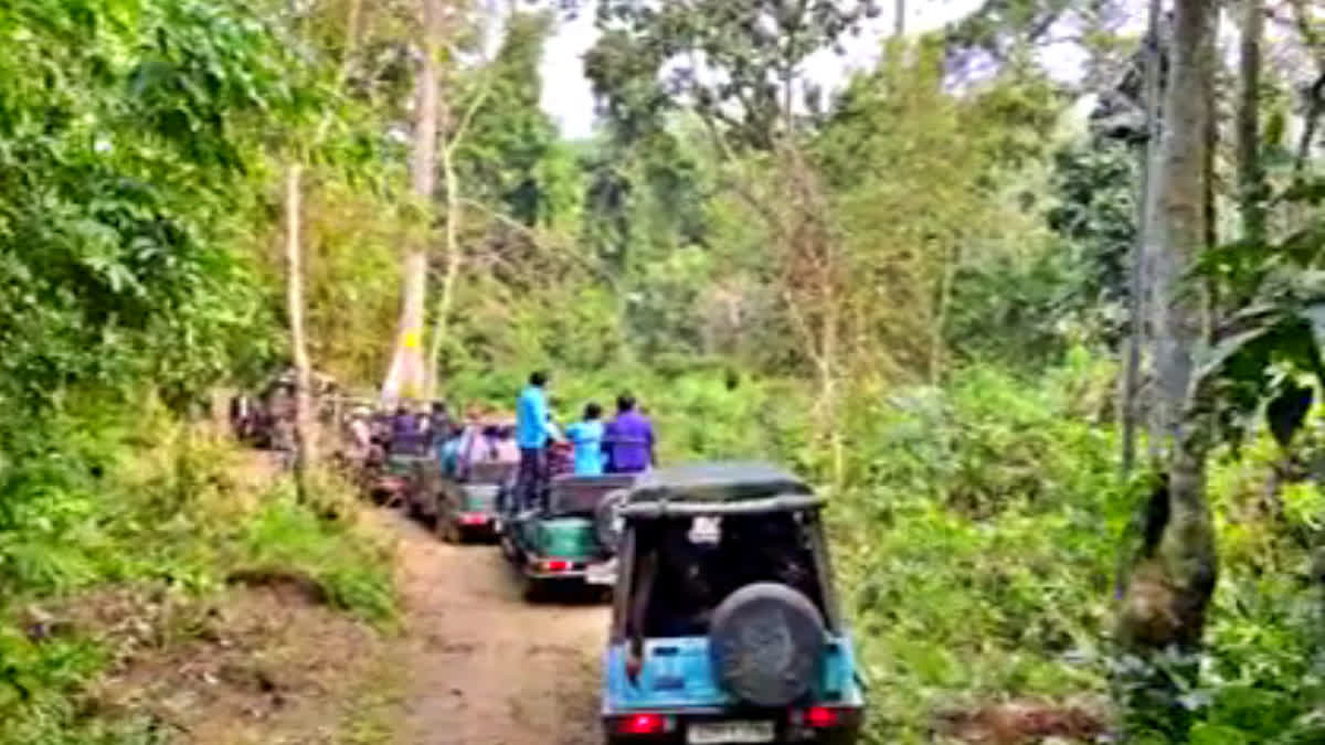 KAZIRANGA NATIONAL PARK