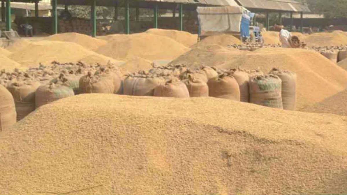 CHHATTISGARH PADDY PURCHASE RECORD