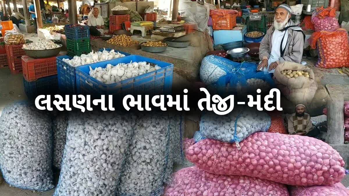 લસણના ભાવમાં સર્વોચ્ચ તેજી બાદ સર્વોચ્ચ મંદી