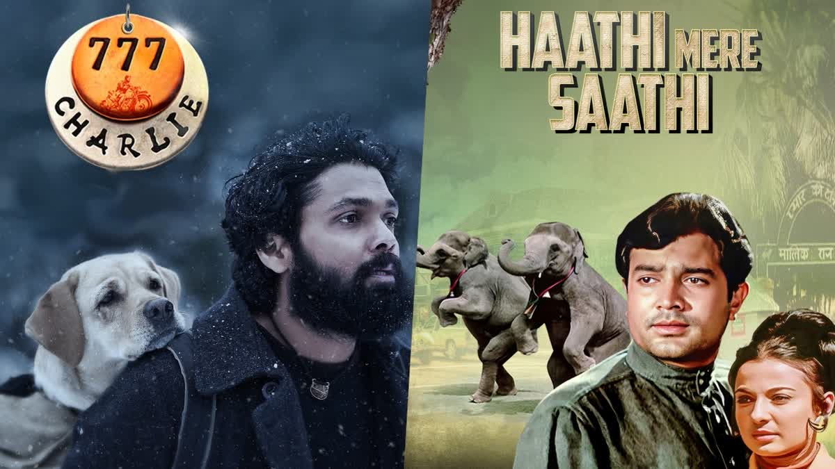 From 777 Charlie To Haathi Mere Saathi: Five Indian Films Where Animals Stole The Spotlight