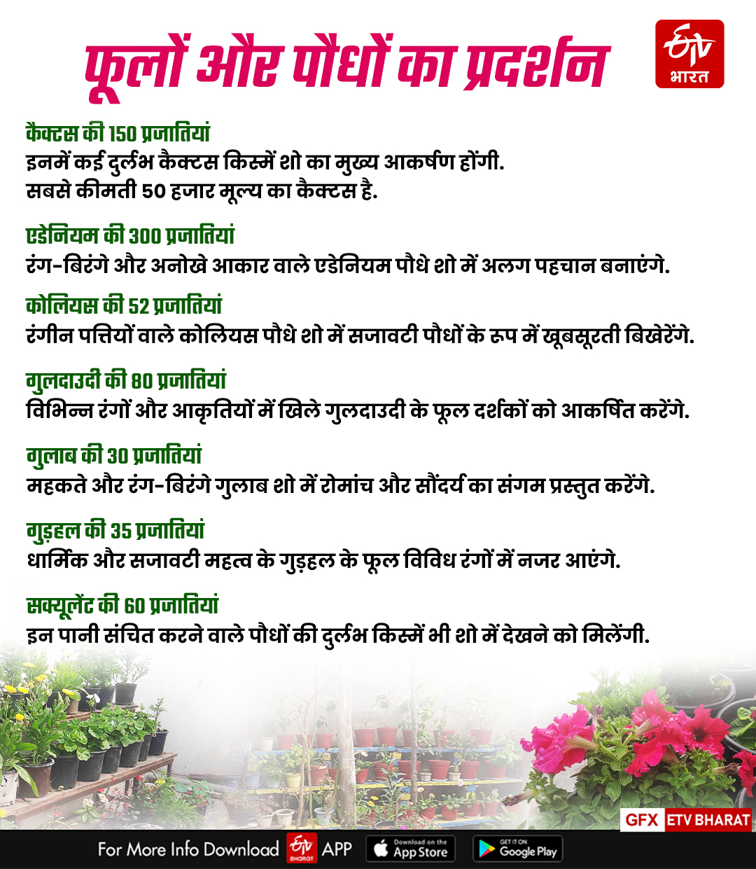 Bharatpur Mega Flower Show