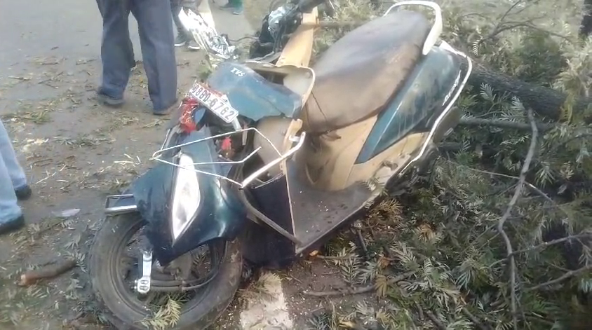 Haridwar Tree Fall on Road