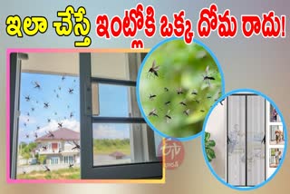 HOW TO AVOID MOSQUITOES FROM HOME