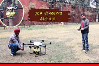 AI school to be set up in Punjab Agricultural University