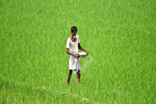 Centre Launches Several Key Schemes To Upgrade Agricultural Technology To Improve Productivity