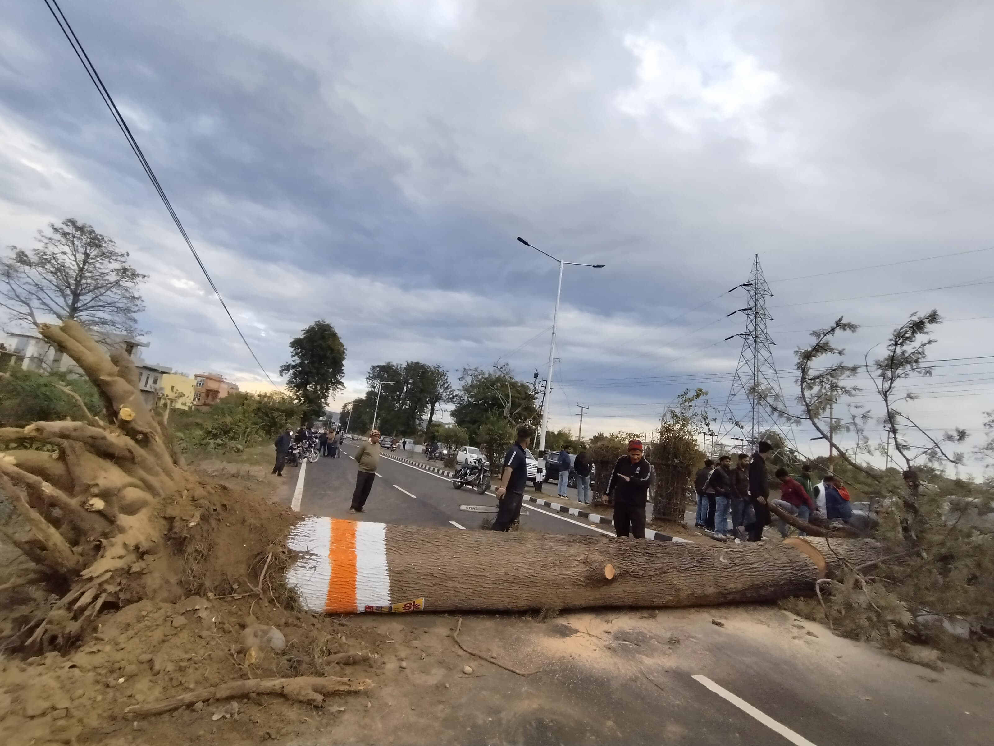 Haridwar Tree Fall on Road