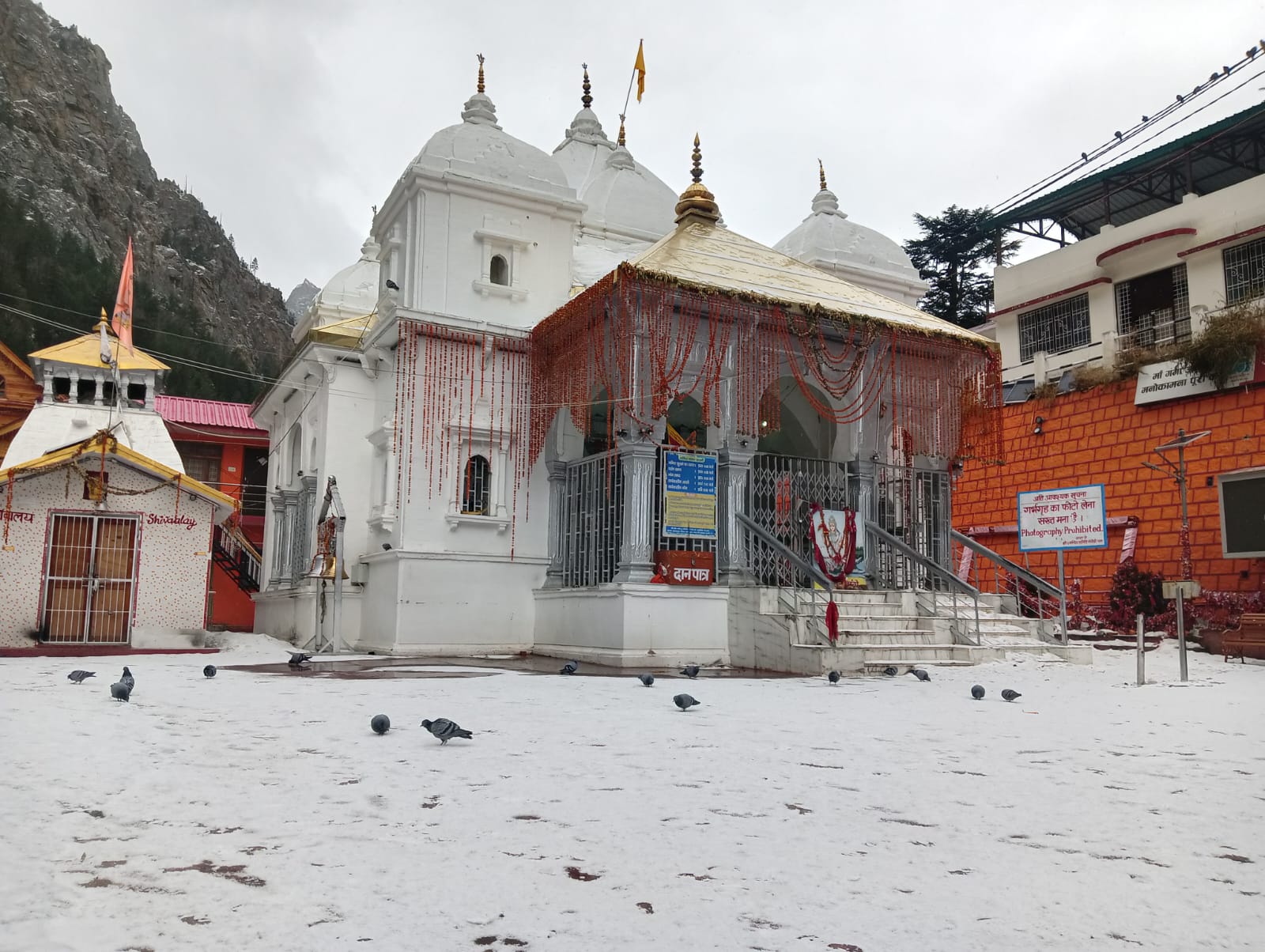 Snowfall in Gangotri Dham in uttarkashi