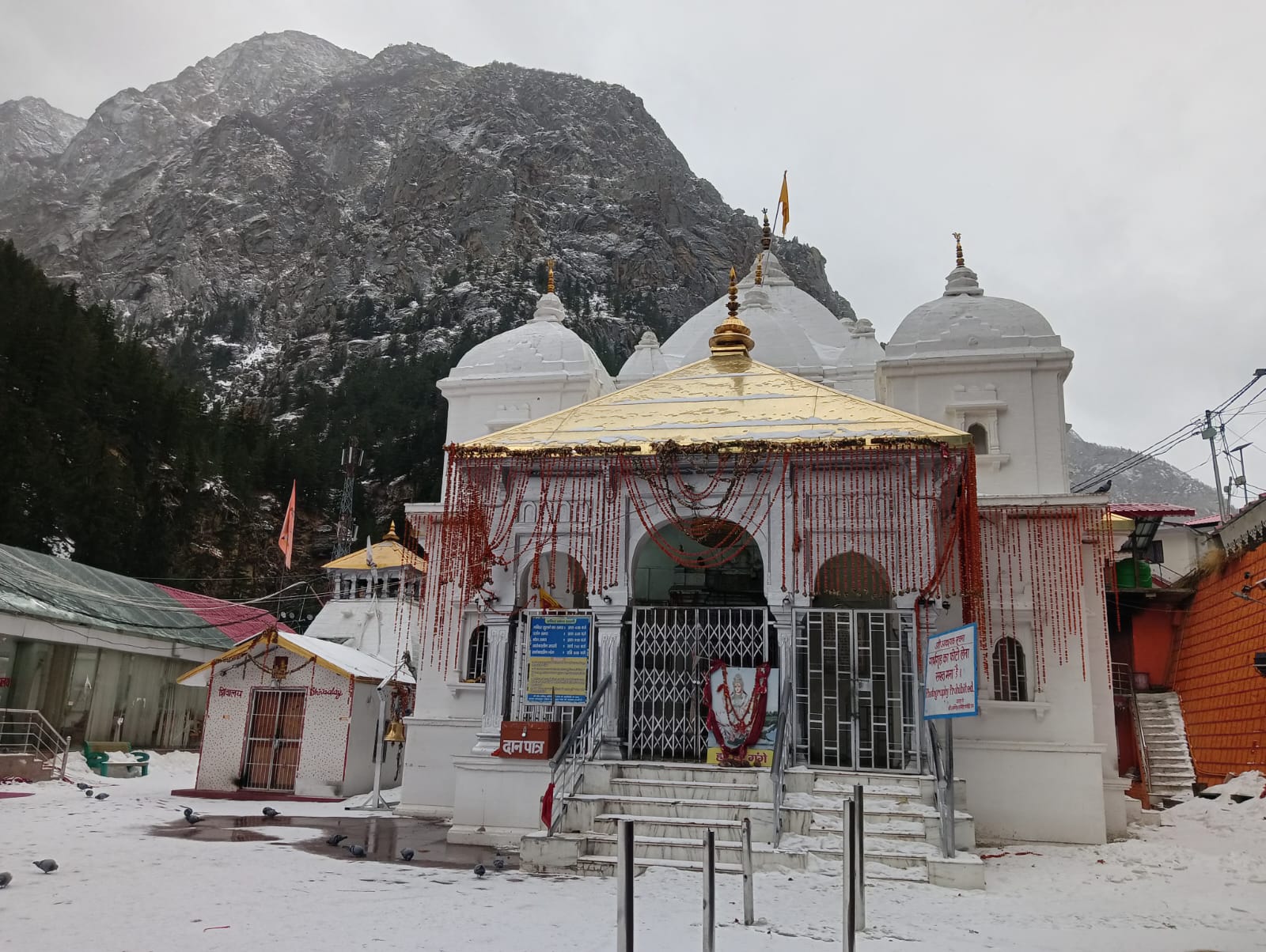 Snowfall in Gangotri Dham in uttarkashi