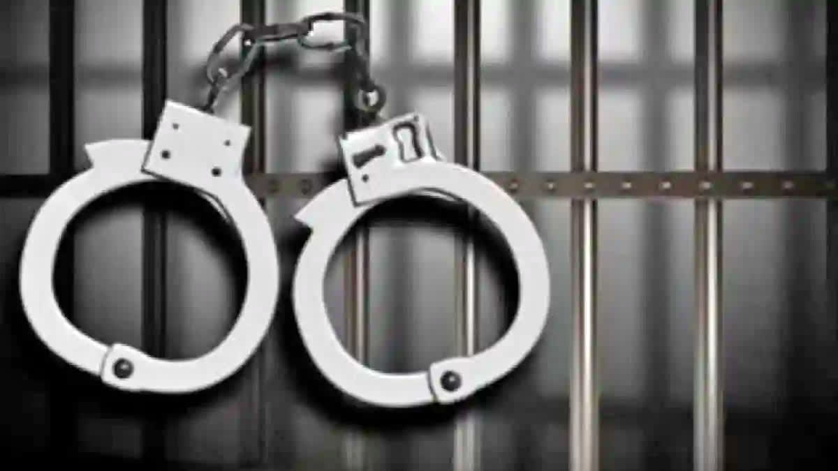 Two people involved in the killing of Haryana Indian National Lok Dal chief Nafe Singh Rathee were arrested from Goa in a joint operation conducted by the Haryana Police and the Delhi Police.