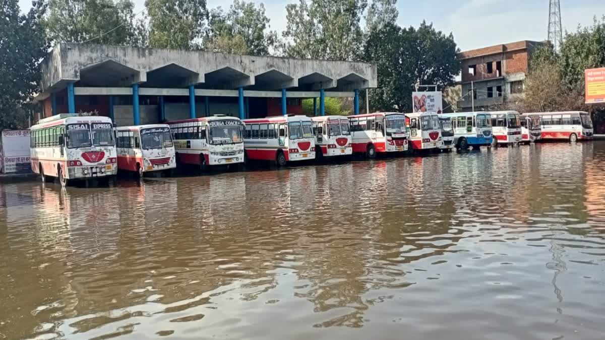 Jind Bus stand Water accumulated Heavy Rain Haryana Travellers facing Trouble Haryana News