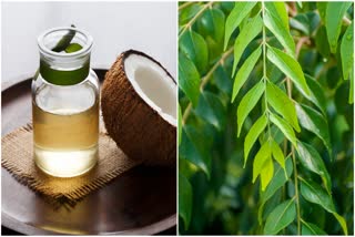 Curry Leaves And Coconut Oil For Hair Growth