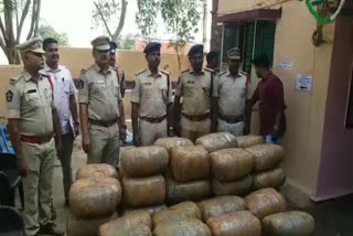 police_seized_ganja