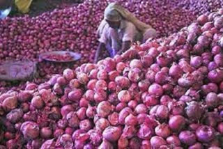 Govt allows export of onion to Bangladesh, UAE with riders