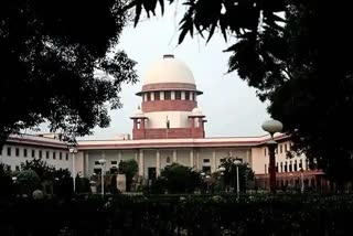 Religious conversion case: SC gives interim bail to UP's SHUATS university VC