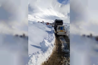 As many as 81 tourists have been stranded in Himachal Pradesh's Spiti Valley due to road closure after heavy snowfall, police said on Monday.