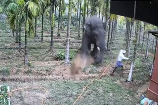 Wild Elephant Attack in Karnataka  Wild Elephant  Wild Elephant Attack  കാട്ടാന ആക്രമണം  കാട്ടാന ആക്രമണം കർണാടക