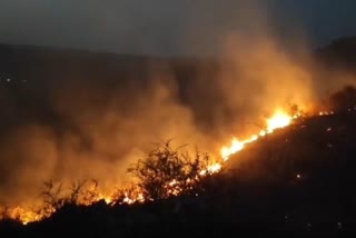 Fire in alwar forest