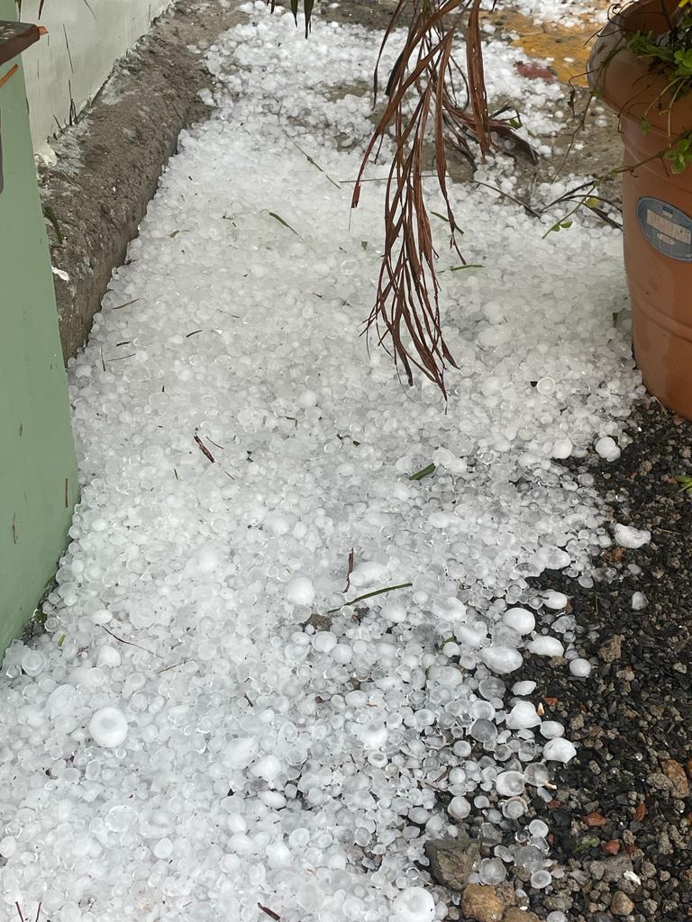 Madhya Pradesh Rain Hailstorm