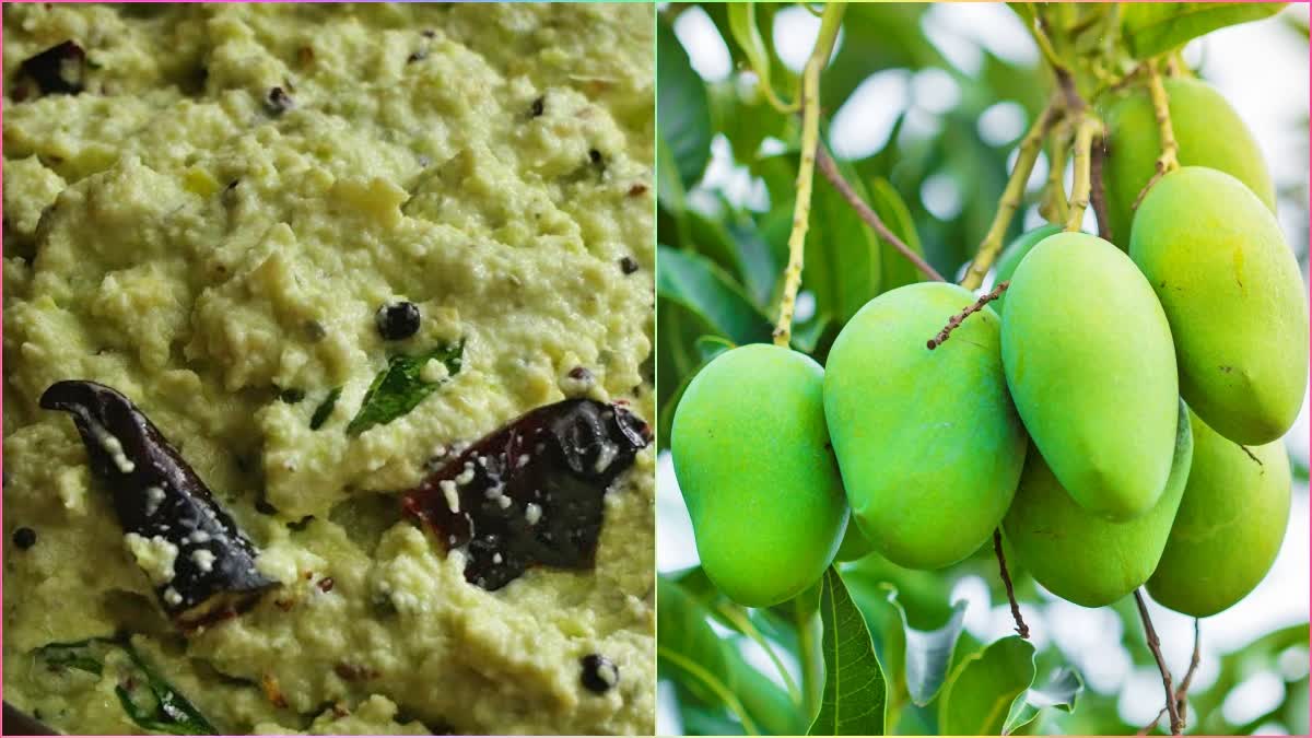 మార్కెట్లోకి మామిడి వచ్చేసింది - నోరూరించే "పచ్చిమామిడి పచ్చడి" - సీజన్​  పోతే మళ్లీ దొరకదు!