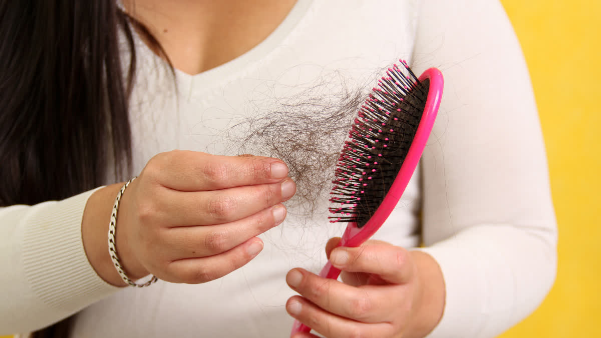 s your hair falling rapidly in the changing weather? Using these 5 fruits will stop it immediately
