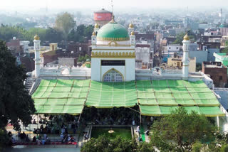 Allahabad HC Adjourns Till Mar 10 Hearing On Whitewashing Of Jama Masjid In Sambhal