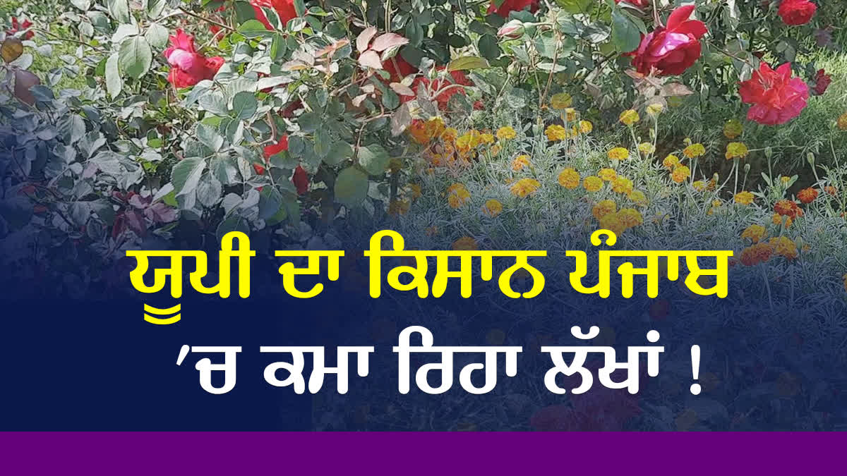 Flower Farming In Muktsar Sahib