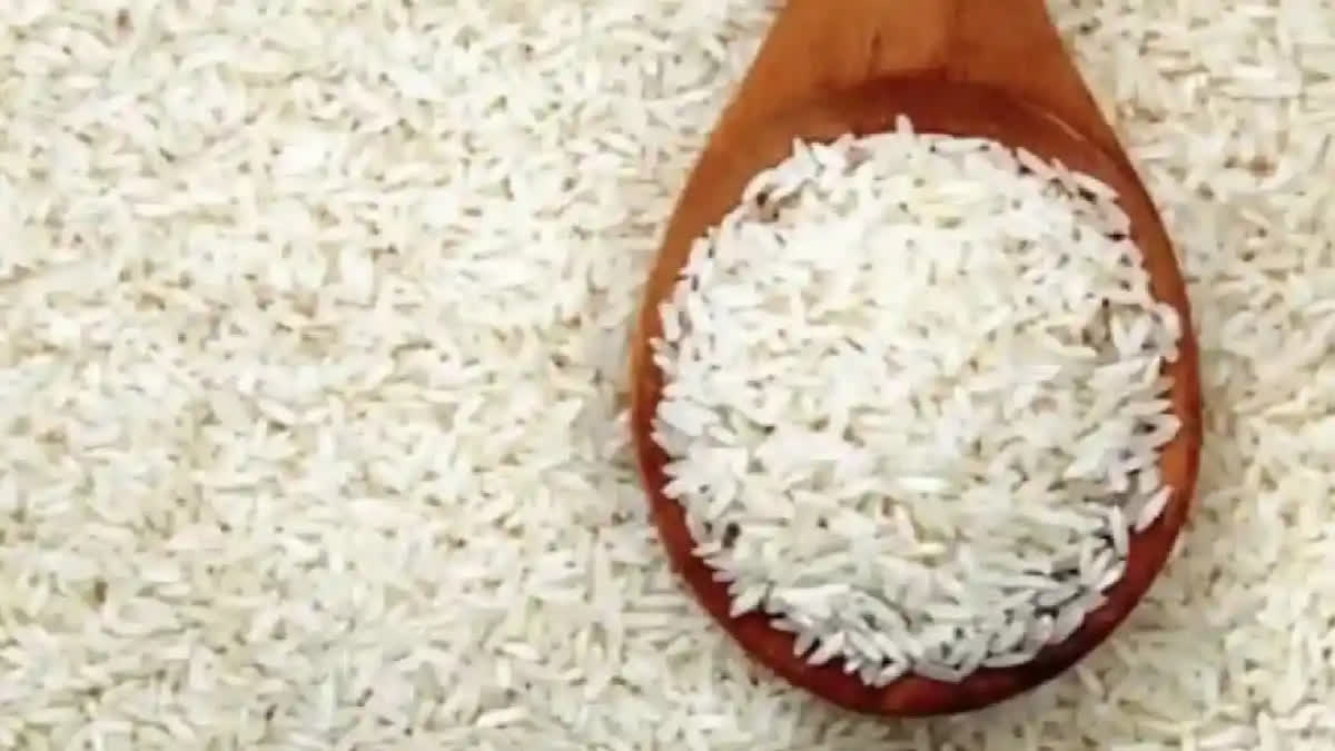 No proposal to resume sale of subsidised rice for ethanol production: Food Secretary