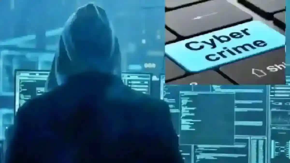 Police arrested cyber criminals