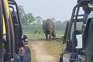 Jeep safari at Kaziranga National Park