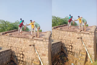 Monkeys found in Water Tank