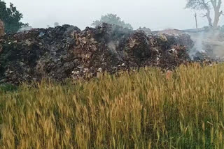 Garbage Burnt In Masaurhi