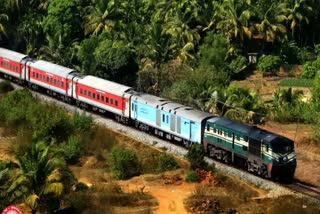 woman birth to child in train