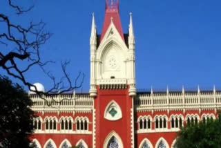 'Highly shameful' even if only 1 pc of Sandeshkhali allegations true: Calcutta High Court