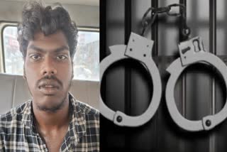 MITTAYI THERUVU THEFT CASE  THIEF ARRESTED AT CHELANNUR  മോഷണം  മോഷണക്കേസ് പ്രതി പിടിയിൽ