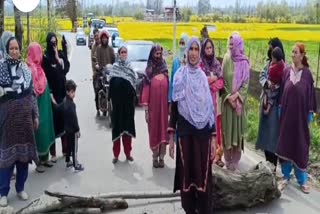residents-of-tral-protest-against-damaged-transformer