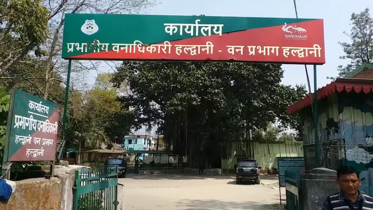 HALDWANI BIRD WATCHING TRAILS