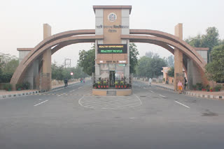 State Film Festival in Rohtak