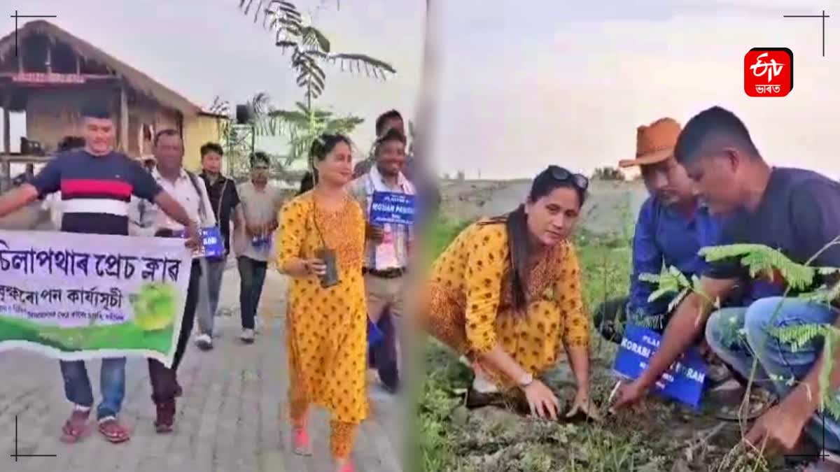 tree plantation programme by TMPK in Kareng Chapori of  DHEMAJI district