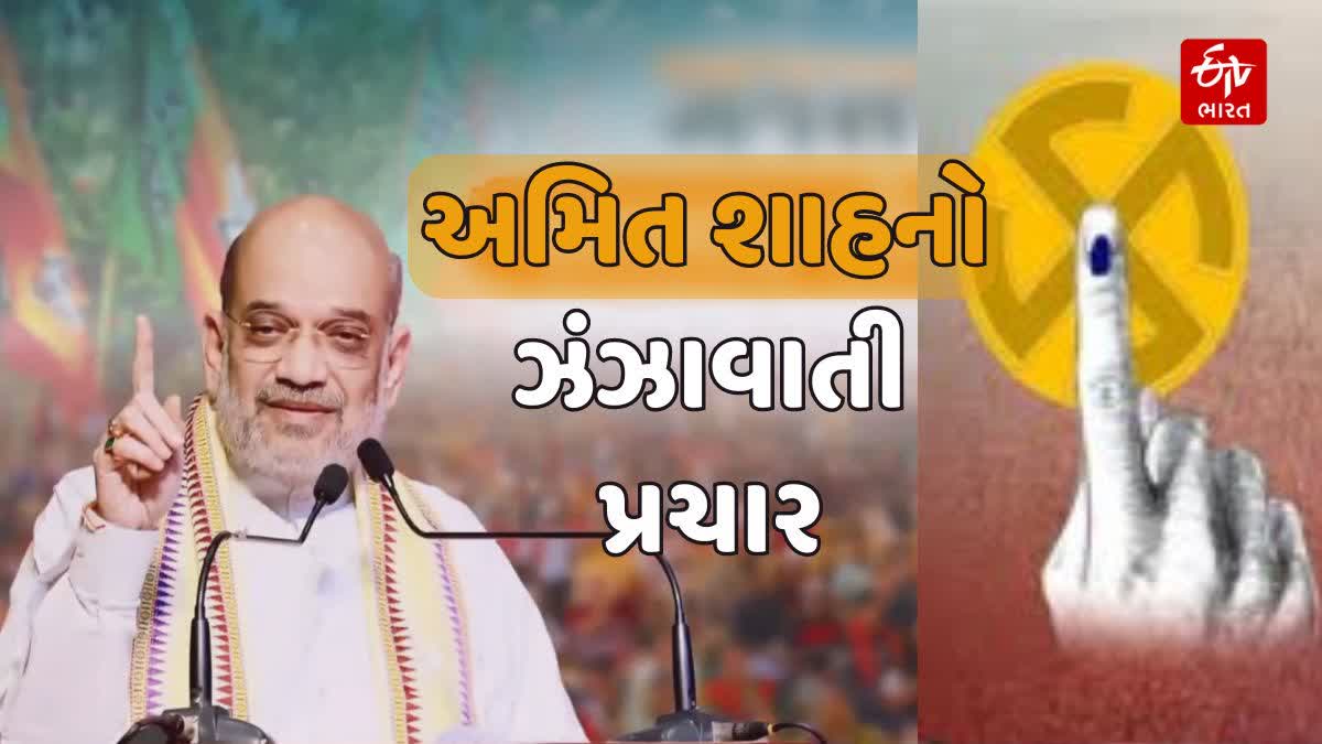 વલસાડ જિલ્લાના વાંસદામાં અમિત શાહની જનસભા