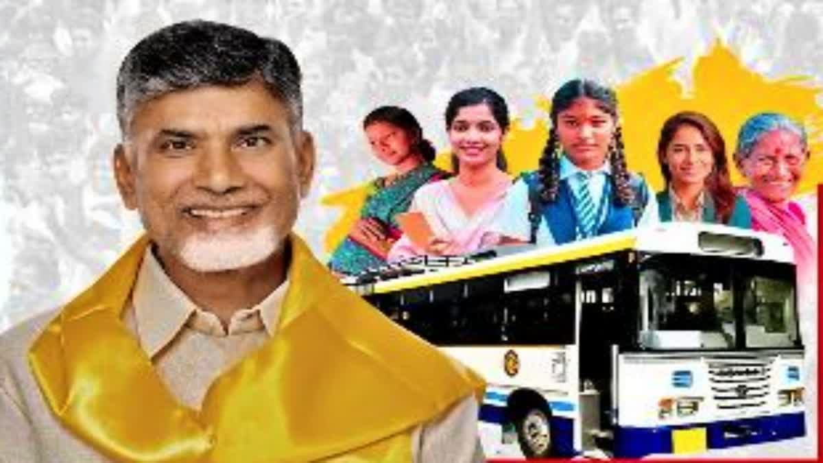 TDP Manifesto 2024