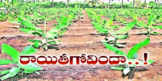 Farmers Fire on YCP Government