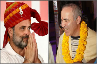Russian chess legend Garry Kasparov sparked a social media storm with a playful jab at Indian politician Rahul Gandhi's chess skills, clarifying it as a joke to avoid being misconstrued as offering political expertise.  Kasparov's remark came in response to Gandhi's claim of being the best chess player among Indian politicians, drawing parallels between chess and politics during his election campaign.
