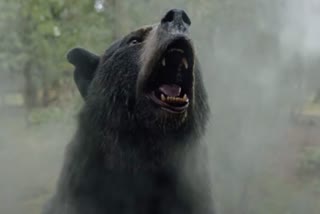 Balod Bear Attack