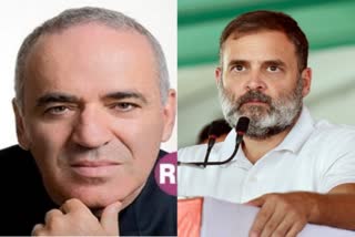 Chess legend Garry Kasparov and Congress leader Rahul Gandhi